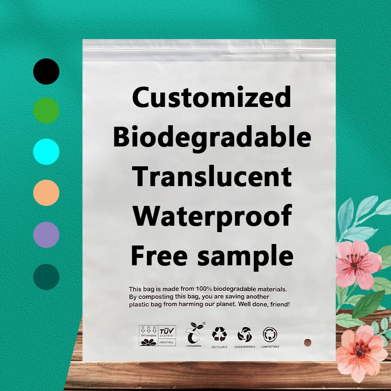 Zeal X lancia borse biodegradabili PLA PBAT ad alte prestazioni per soluzioni di imballaggio sostenibili in tutto il mondo