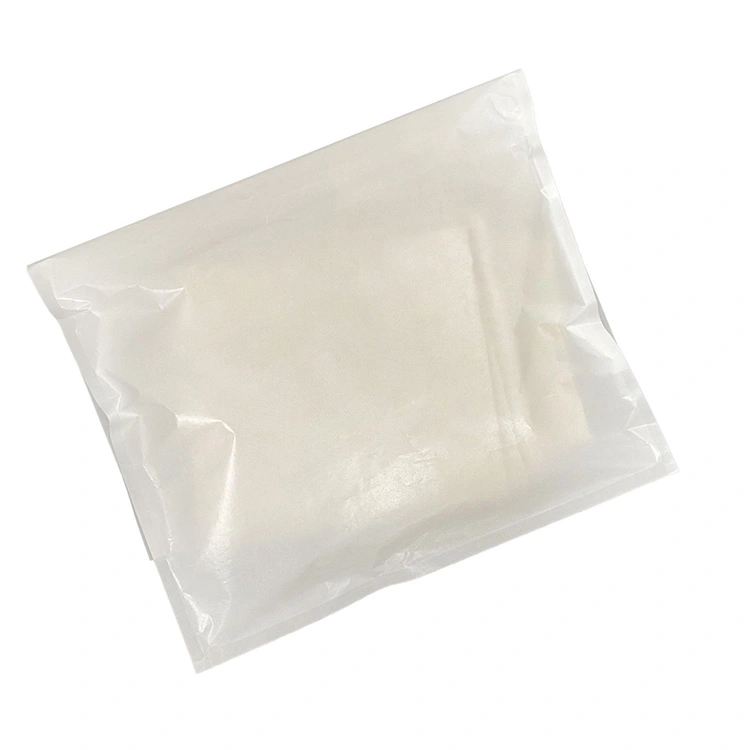 Borsa per posta in pergamena